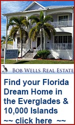 Everglades Florida Real Estate