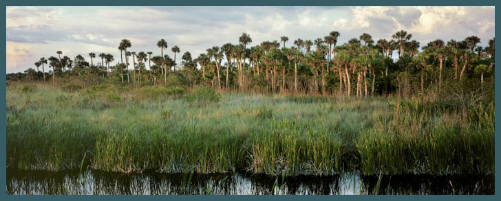 everglades-photos