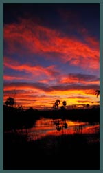 florida everglades